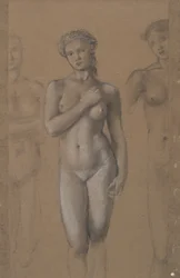 Female Nude